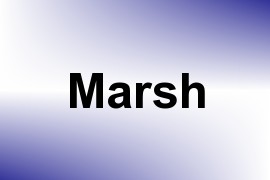 Marsh name image