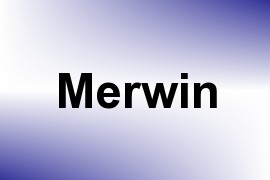 Merwin name image