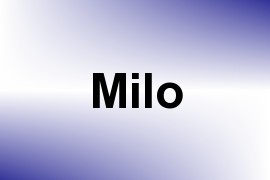 Milo name image