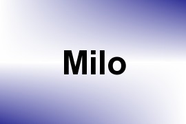 Milo name image