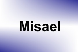 Misael name image