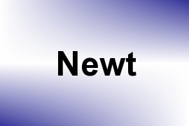 Newt name image