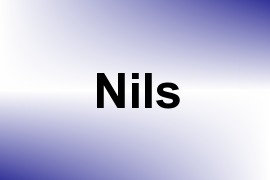 Nils name image