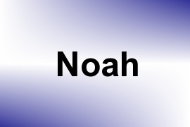 Noah name image