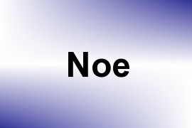 Noe name image