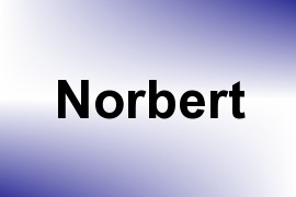 Norbert name image