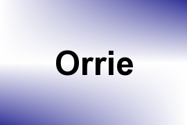 Orrie name image