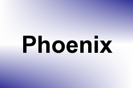 Phoenix name image