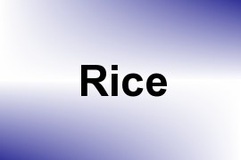 Rice name image