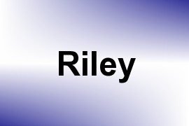 Riley name image