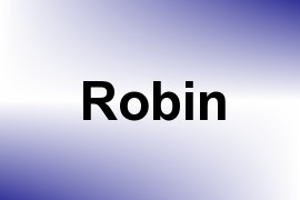 Robin name image