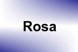 Rosa name image