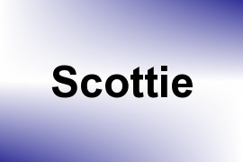 Scottie name image