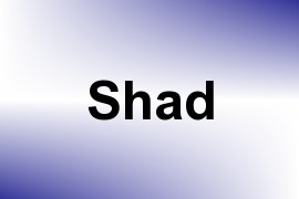 Shad name image