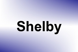 Shelby name image