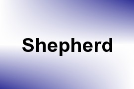 Shepherd name image