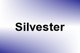 Silvester name image