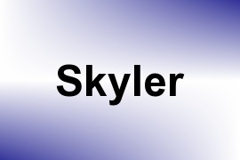 Skyler name image