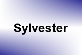 Sylvester name image