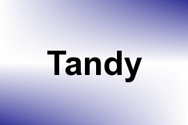 Tandy name image