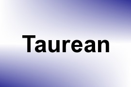 Taurean name image