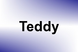 Teddy name image