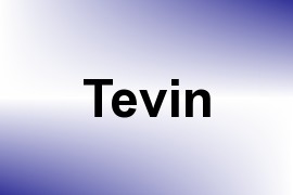 Tevin name image