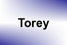 Torey name image