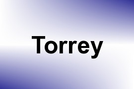 Torrey name image