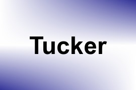 Tucker name image