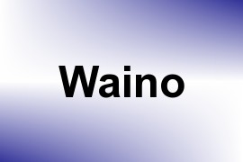 Waino name image