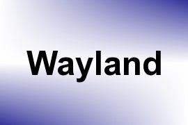 Wayland name image