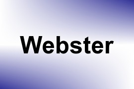 Webster name image