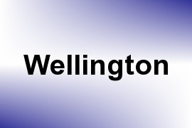 Wellington name image