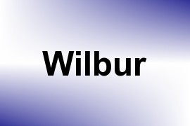 Wilbur name image