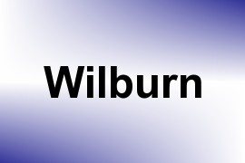 Wilburn name image