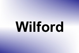 Wilford name image
