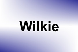 Wilkie name image