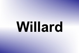 Willard name image