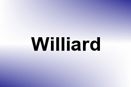 Williard name image