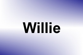 Willie name image