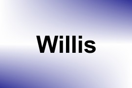 Willis name image