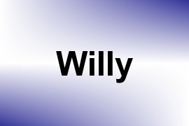 Willy name image