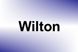 Wilton name image