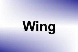 Wing name image