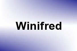 Winifred name image
